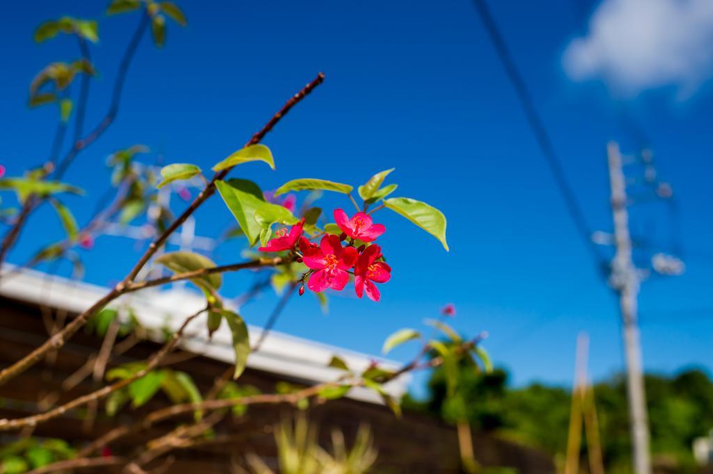 United Resort Yomitan Okinawa Екстер'єр фото